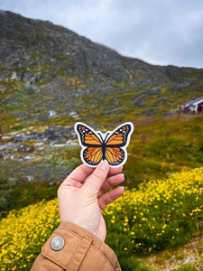 Stickers Papillon Monarque