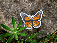 Charger l&#39;image dans la galerie, Stickers Papillon Monarque
